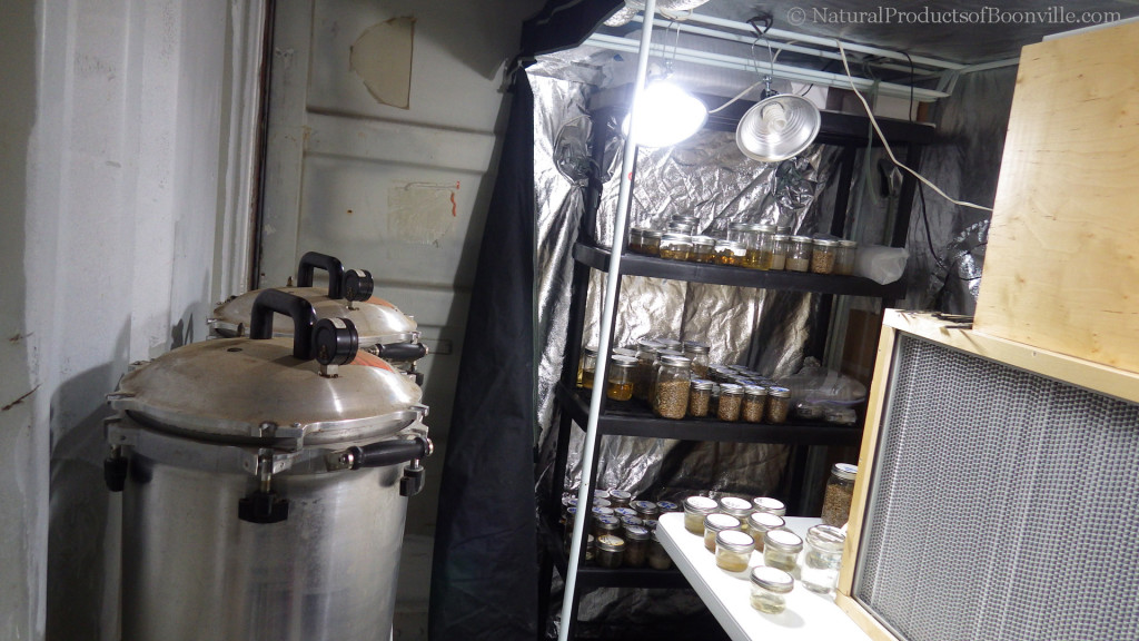 inside our inoculation lab; pressure cookers on left & flow hood on right