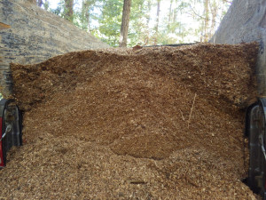 sawdust from Frank's Firewood