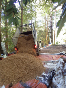 sawdust from Frank's Firewood