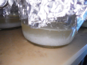 cold agar shaken and quickly poured - ready to pressure cook
